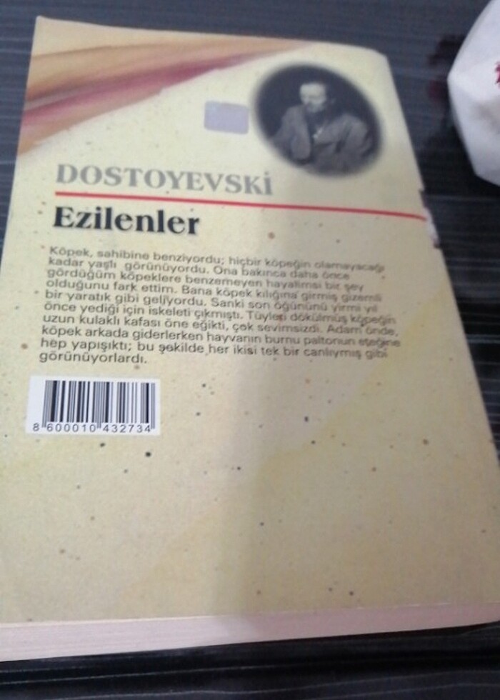 DÜNYA KLASİKLERİNDEN EZILENLER-DOSTOYEVSKI - Görsel 3
