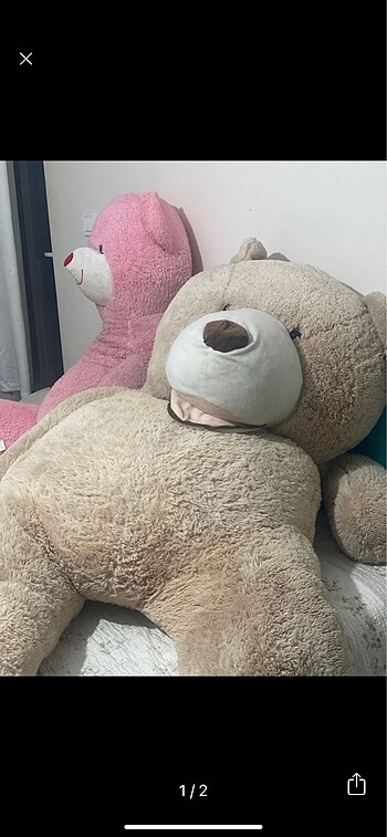Diğer Peluş ayı