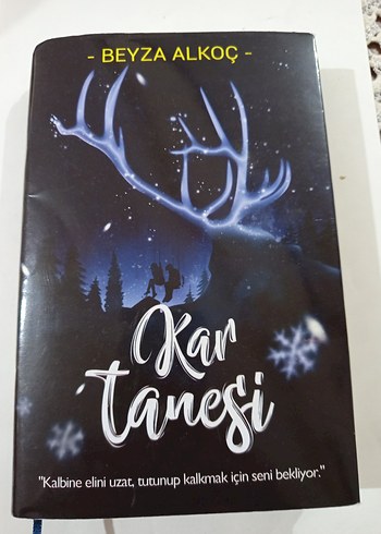 Kar Tanesi - Beyza Alkoç