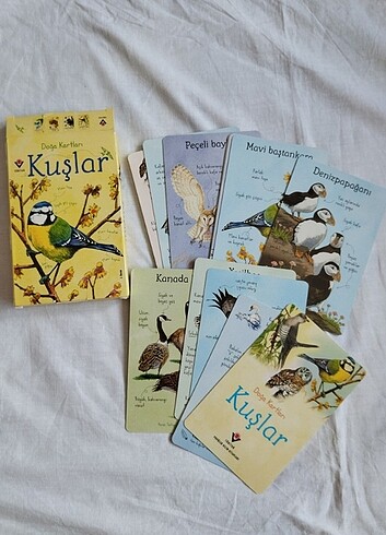 Doğa Kartları - Kuşlar / Tübitak Yayınları 