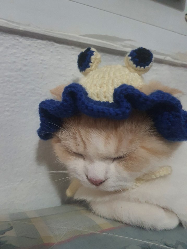 Nakışlı Yeşil kedi beresi - Görsel 4