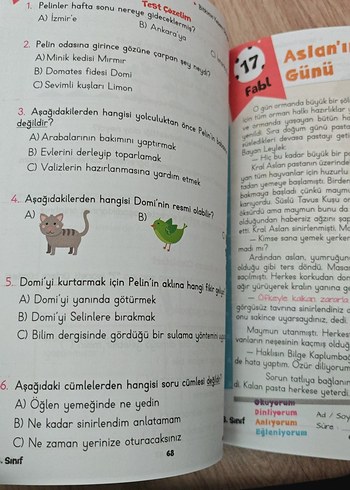 Pelin ile Metin Çalışmaları 3. Sınıf Çalışma Kitabı - Görsel 3