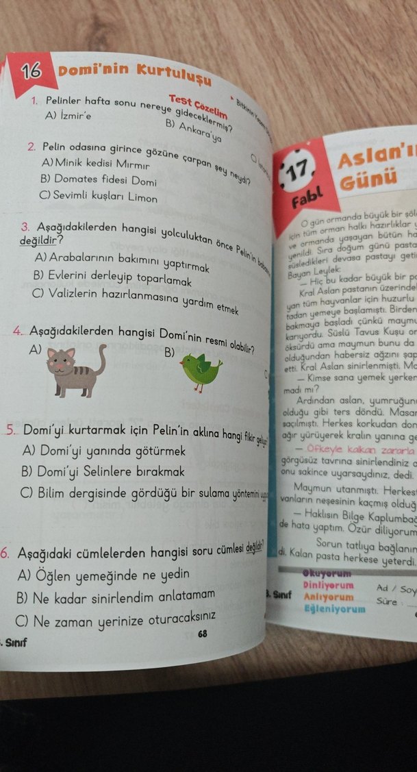 Pelin ile Metin Çalışmaları 3. Sınıf Çalışma Kitabı - Görsel 3