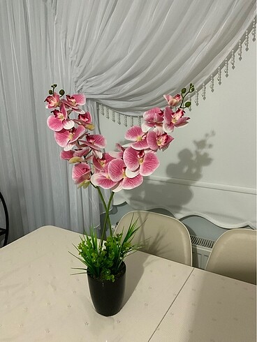 Yapay Orkide