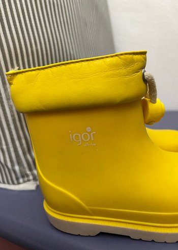 Igor Sarı igor bebek bot