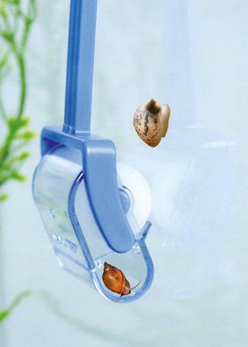 Dennerle SnailCatcher - Işıltılı Yeşil Salyangoz Tutucu