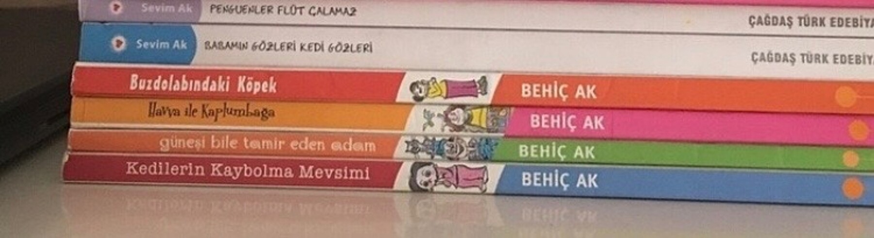 Sevim Ak Behiç Ak kitapları