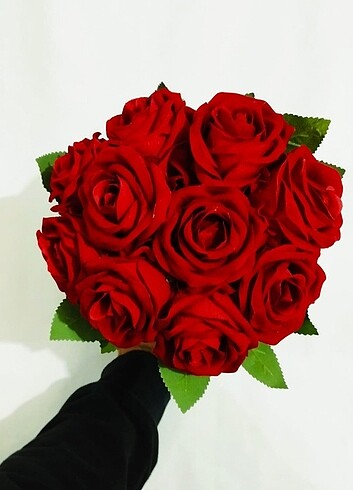 Kırmızı gelin çiçeği - Görsel 3