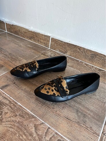 37 Beden Leopar