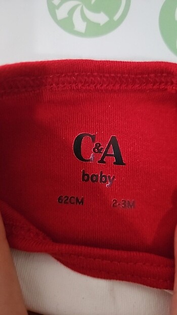 C&A Noel body