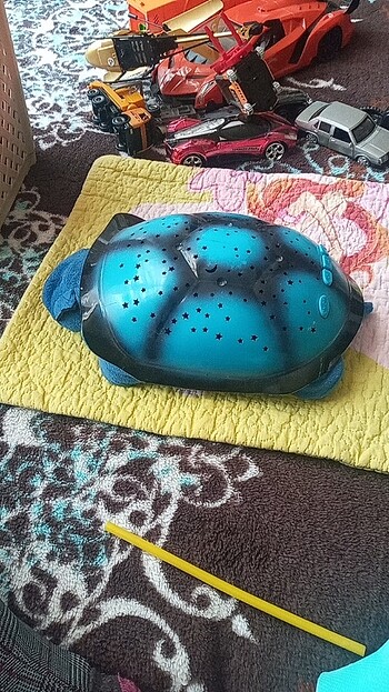 Ouuncak kaplumbaga