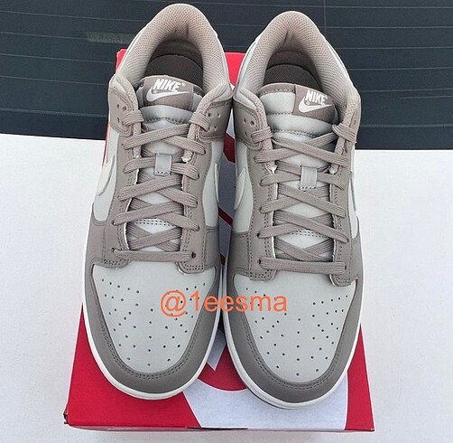 Nike DUNK PRO BONE