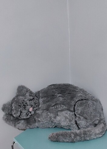 #peluş #kedi #yastık #oyuncak