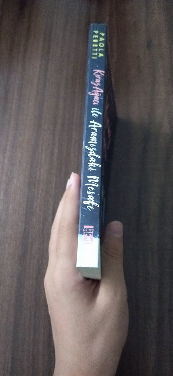 Kiraz Ağacı ile Aramızdaki Mesafe Roman - Görsel 2