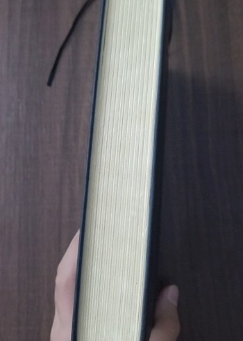 Sessizlik - Becca Fitzpatrick - Görsel 4