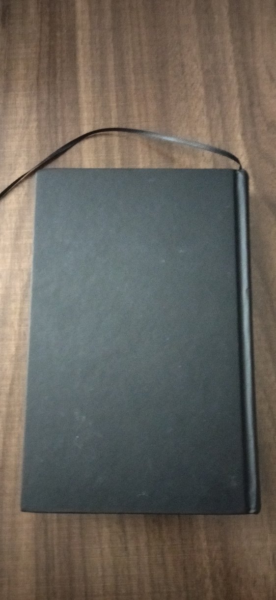 Sessizlik - Becca Fitzpatrick - Görsel 3