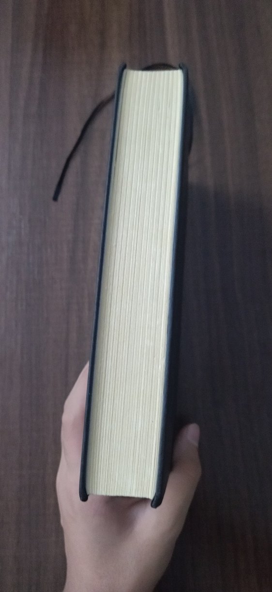 Sessizlik - Becca Fitzpatrick - Görsel 4