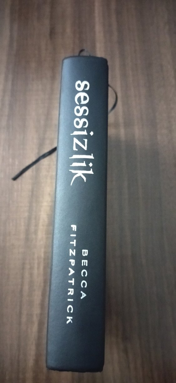 Sessizlik - Becca Fitzpatrick - Görsel 2