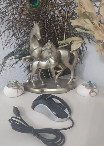  Beden Renk Casper Optik Kablolu Mouse