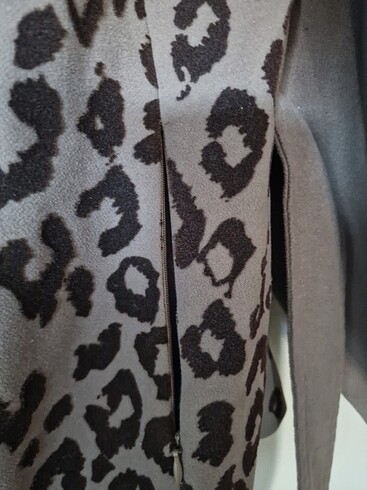 Kısa Kaman - Görsel 11