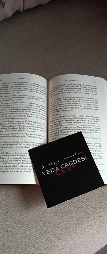  Beden Veda caddesi 1(cevf) SÜMEYYE DEMİRKAN