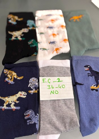 Erkek Çocukları Dinozor Desenli Çoklu Çorap Seti - Görsel 2