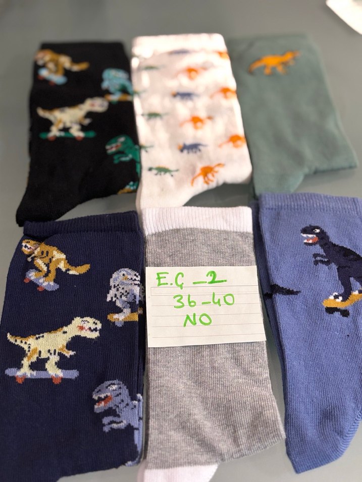 Erkek Çocukları Dinozor Desenli Çoklu Çorap Seti - Görsel 2