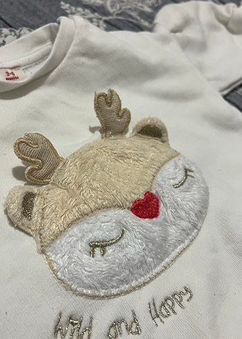 Diğer Kız Çocuk Beyaz Nakışlı Sweatshirt