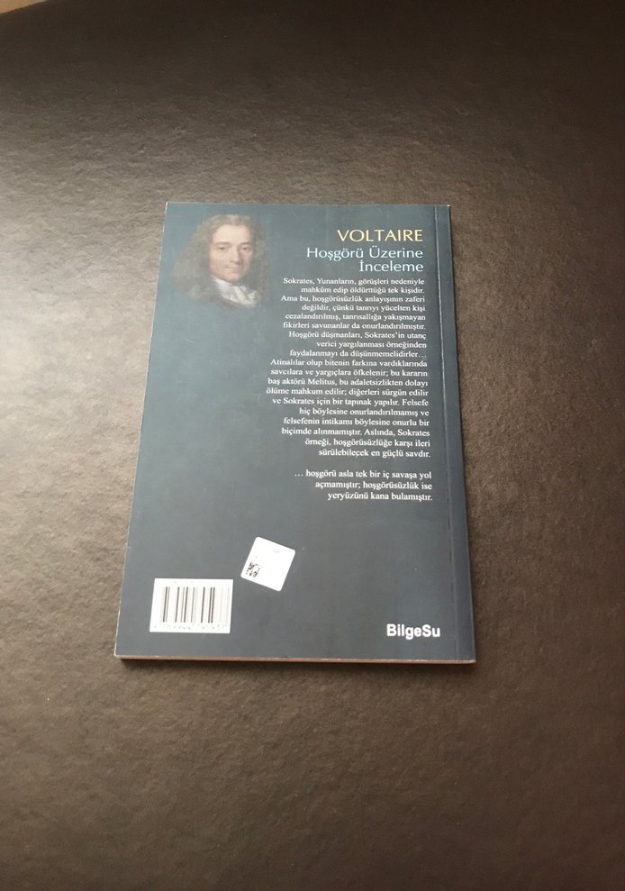 Voltaire - Hoşgörü Üzerine İnceleme - Görsel 2