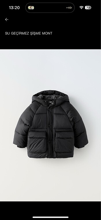 Zara Mont