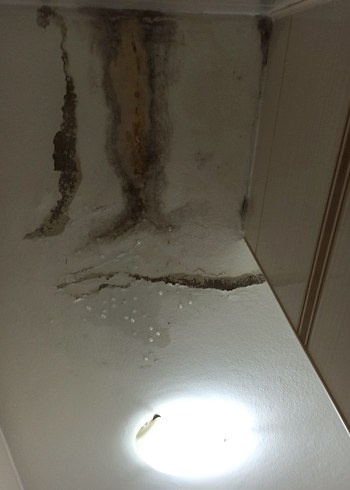 Kadın Mavi Gri Kareli Uzun Kollu Gömlek - Görsel 4