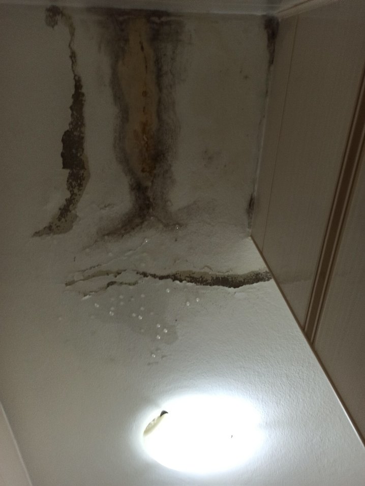 Kadın Mavi Gri Kareli Uzun Kollu Gömlek - Görsel 4