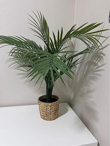  Beden yeşil Renk Ikea fejka palmiye yapay bitki
