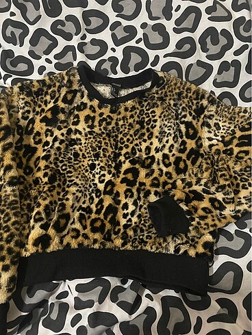 leopar pelus