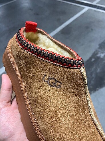Ugg tazz taba