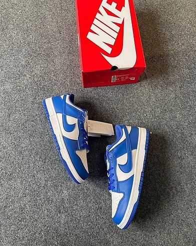 Nike dunk low Kentucky