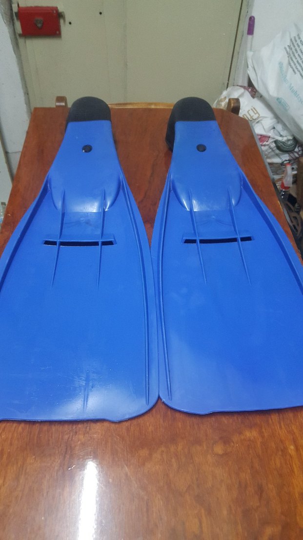 Sea Star Palet - Görsel 2