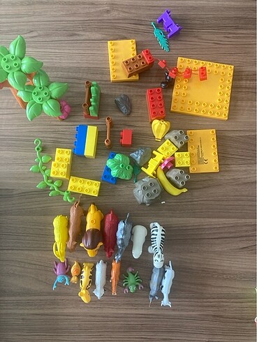 43 Parçalı hayvanat bahçesi - Görsel 3