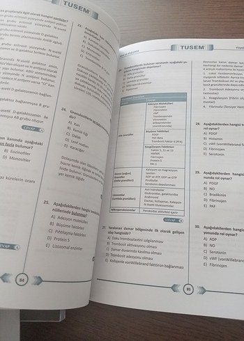 DUSEM Tıbbi Çalışma Soruları Seti - Görsel 8