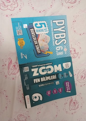 PYBS 6. Sınıf 5'li Deneme Sınavı