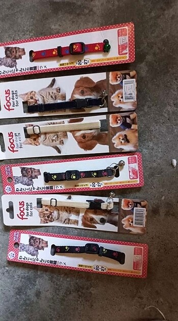 Kedi köpek tasması