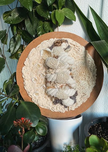 İnci Taneleri duvar dekorasyonu makrome bohem dekorasyon - Görsel 4