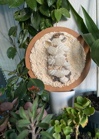 İnci Taneleri duvar dekorasyonu makrome bohem dekorasyon - Görsel 8