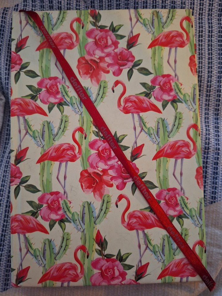 Okula dönüş - Görsel 4