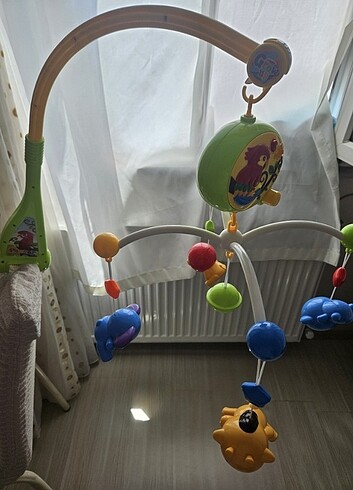  Beden Renk Beşik dönence 
