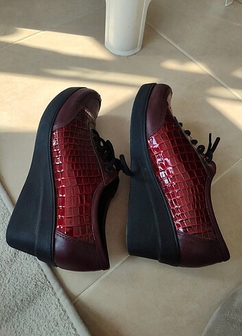 37 Beden Bordo bot