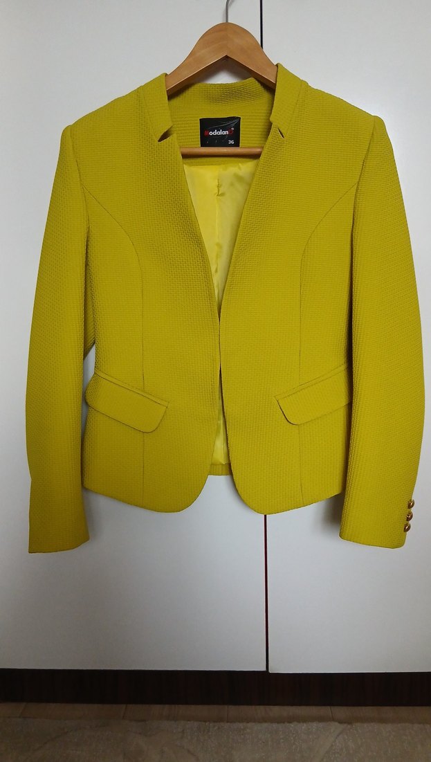 Kadın Blazer Ceket - Görsel 4