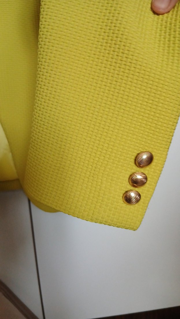 Kadın Blazer Ceket - Görsel 2