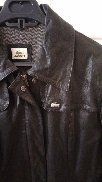 Lacoste Lacoste deri mont