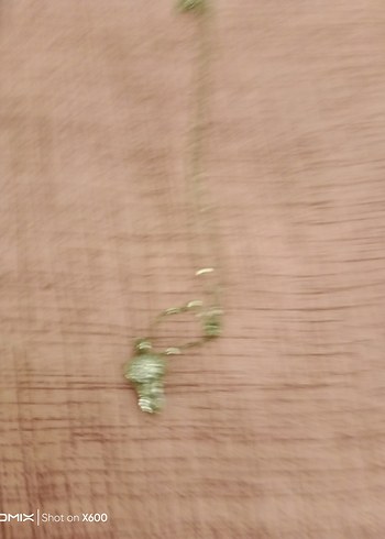 Uzun Zincirli Gümüş Kadın Kolye - Görsel 5